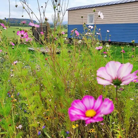 Campsite Charmantes Roulottes Au Coeur De L'auvergne